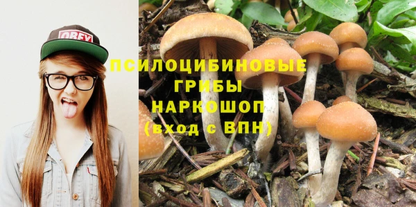 соль курить ск Пересвет