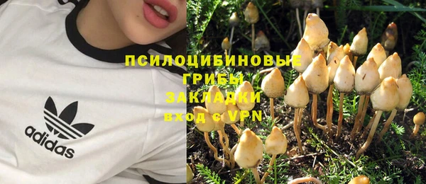 соль курить ск Пересвет